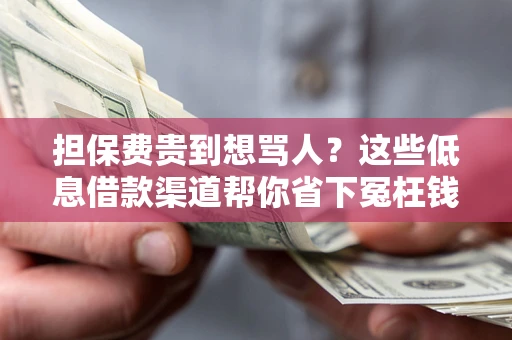 北京担保费贵到想骂人？这些低息借款渠道帮你省下冤枉钱