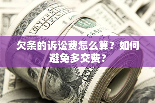 北京欠条的诉讼费怎么算？如何避免多交费？