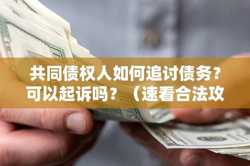 北京共同债权人如何追讨债务？可以起诉吗？（速看合法攻略）