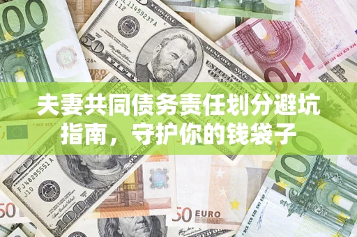 北京夫妻共同债务责任划分避坑指南，守护你的钱袋子