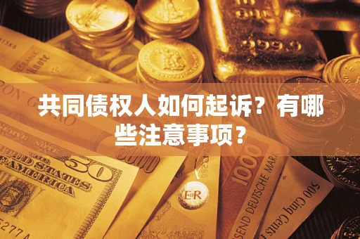 北京共同债权人如何起诉？有哪些注意事项？